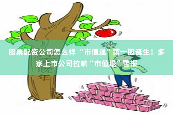   股票配资公司怎么样 “市值退”第一股诞生！多家上市公司拉响“市值退”警报