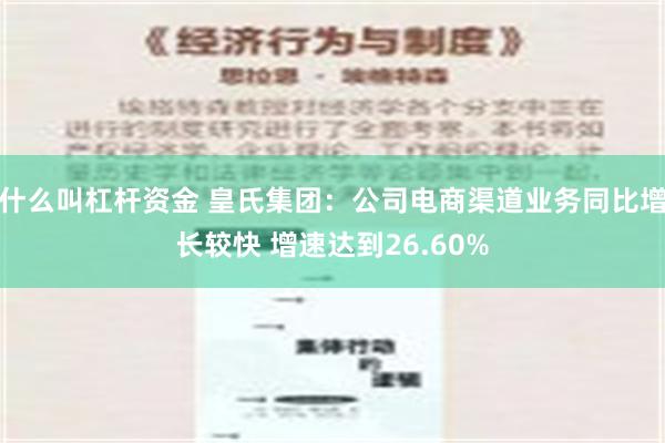   什么叫杠杆资金 皇氏集团：公司电商渠道业务同比增长较快 增速达到26.60%