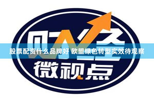   股票配资什么品牌好 欧盟绿色转型实效待观察