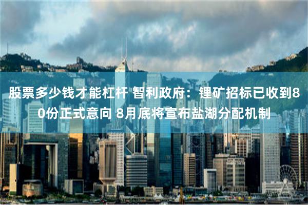   股票多少钱才能杠杆 智利政府：锂矿招标已收到80份正式意向 8月底将宣布盐湖分配机制