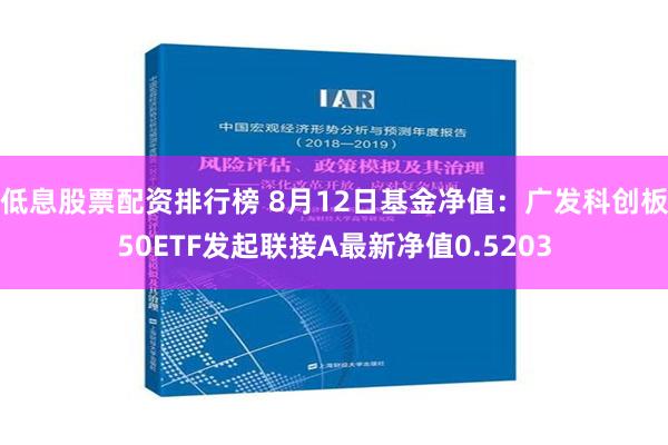   低息股票配资排行榜 8月12日基金净值：广发科创板50ETF发起联接A最新净值0.5203