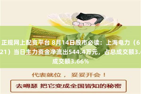   正规网上配资平台 8月14日股市必读：上海电力（600021）当日主力资金净流出544.4万元，占总成交额3.66%