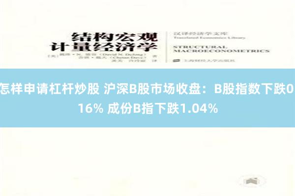 怎样申请杠杆炒股 沪深B股市场收盘：B股指数下跌0.16% 成份B指下跌1.04%