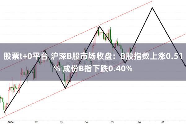 股票t+0平台 沪深B股市场收盘：B股指数上涨0.51% 成份B指下跌0.40%