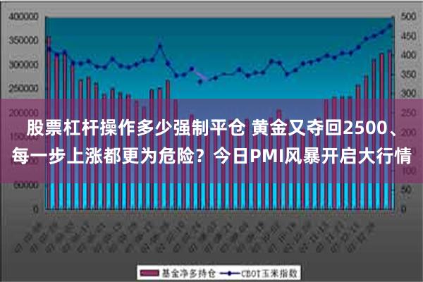 股票杠杆操作多少强制平仓 黄金又夺回2500、每一步上涨都更为危险？今日PMI风暴开启大行情