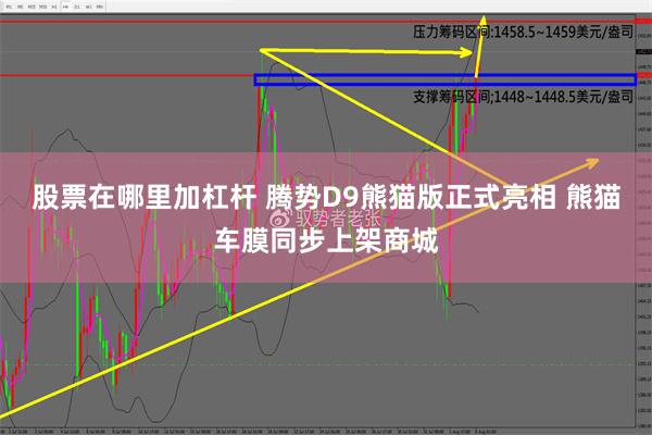 股票在哪里加杠杆 腾势D9熊猫版正式亮相 熊猫车膜同步上架商城