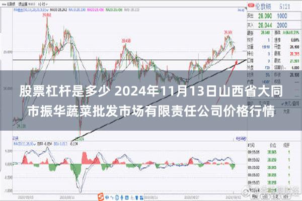 股票杠杆是多少 2024年11月13日山西省大同市振华蔬菜批