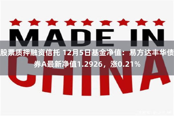 股票质押融资信托 12月5日基金净值：易方达丰华债券A最新净