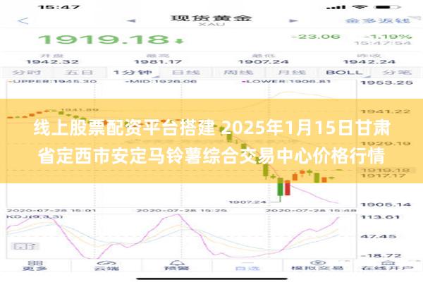 线上股票配资平台搭建 2025年1月15日甘肃省定西市安定马