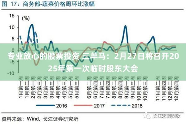 专业放心的股票投资 三羊马：2月27日将召开2025年第一次临时股东大会